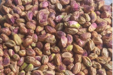 Nuts of hazelnuts